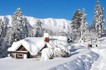 Jammu, Srinagar, Gulmarg, Sonmarg, Pahalgam And Katra Tour