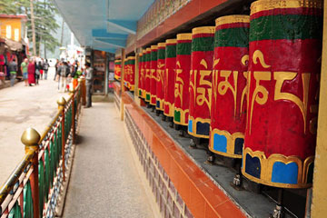 Amritsar Mcleodganj Tour